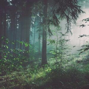 老头玩大几已谢精子
